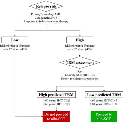 Allogeneic Stem Cell Transplantation for Acute Myeloid Leukemia: Who, When, and How?